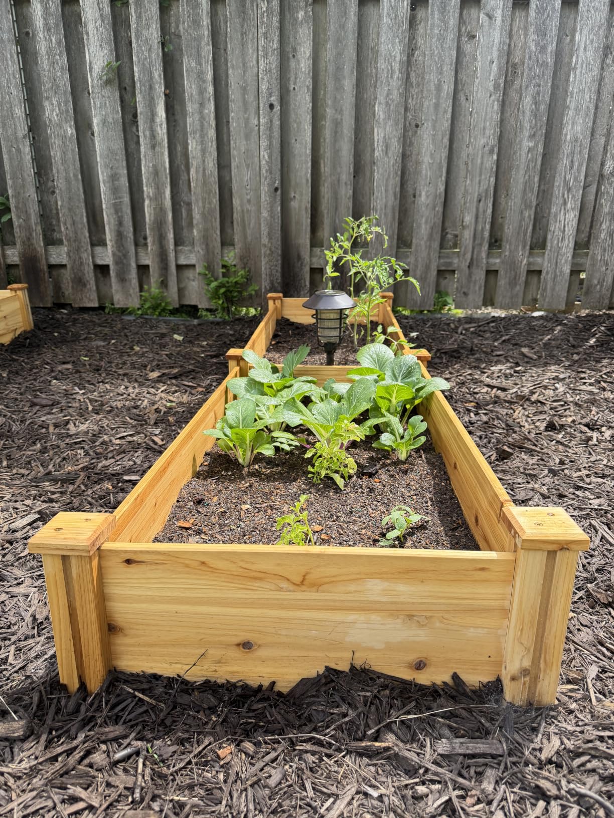 Yaheetech Raised Garden Bed Wooden Planter Box for Vegetables/Flowers customer photo 2