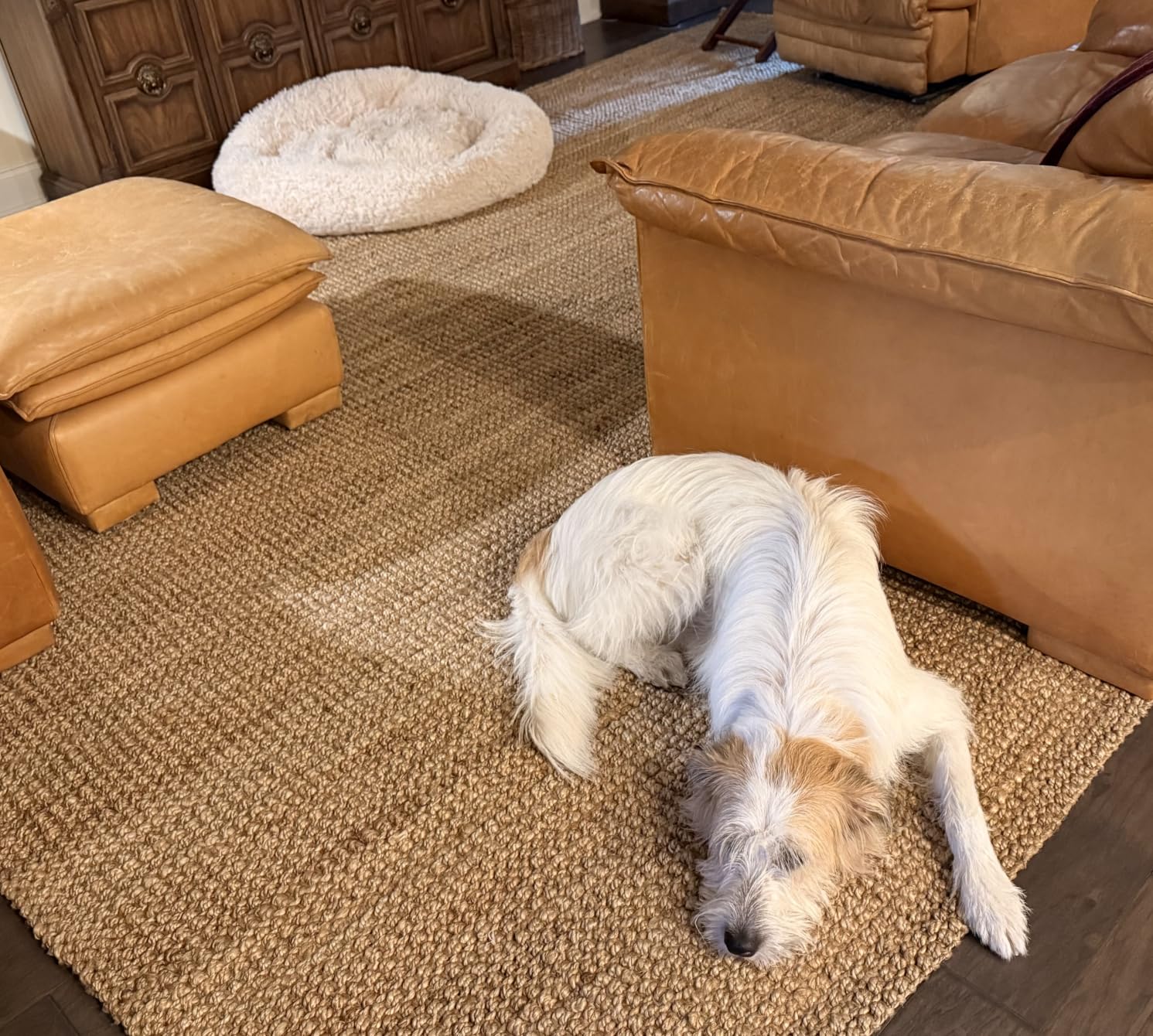 JONATHAN Y Pata Hand Woven Chunky Jute Natural Indoor Area Rug, 4x6, Bohemian, Rustic, Cottage, Easy-Cleaning, Non-Shedding (NRF102A-4) customer photo 2