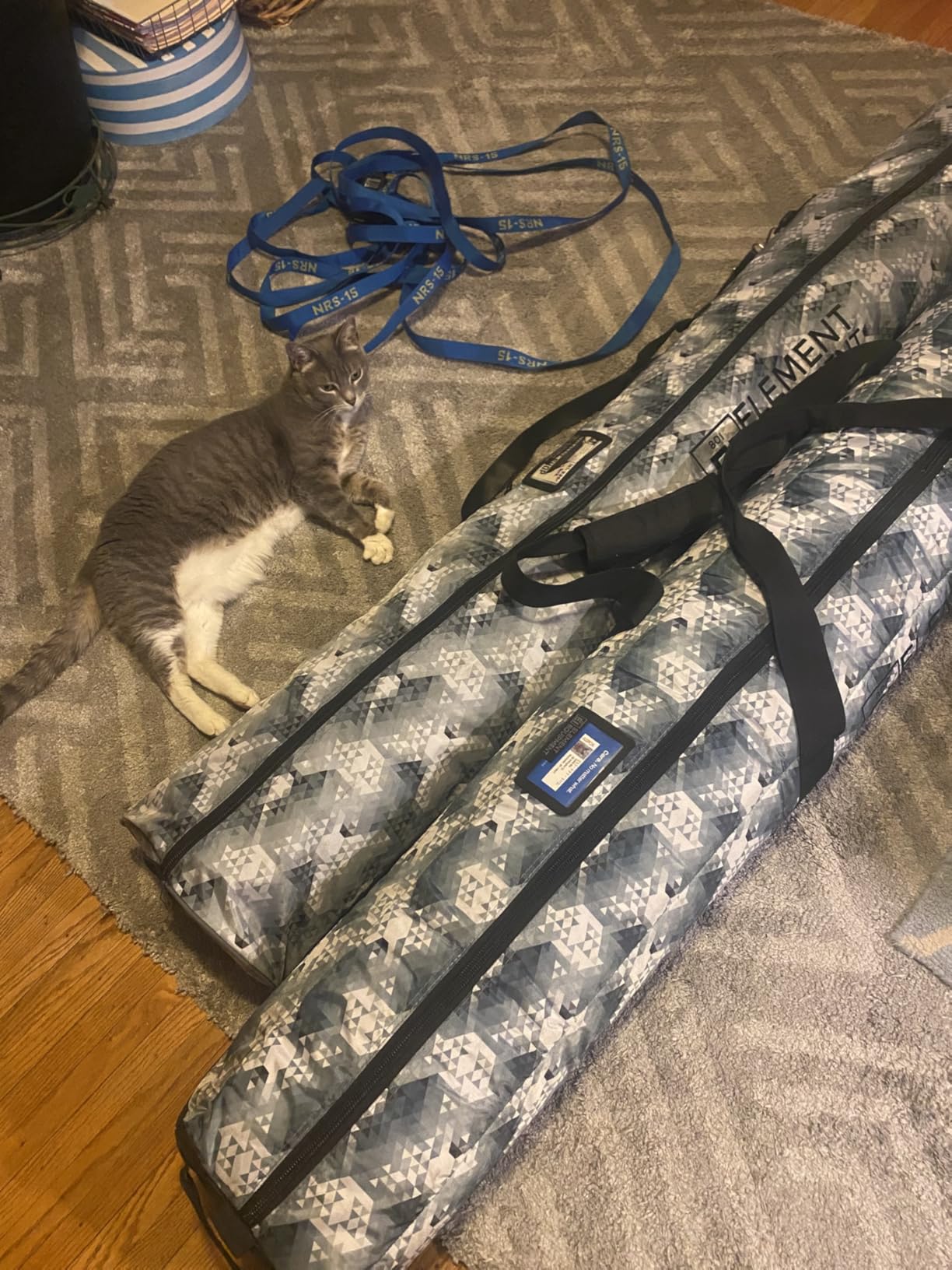Element Equipment Deluxe Padded Ski Bag - Premium Single Travel Bag customer photo 1