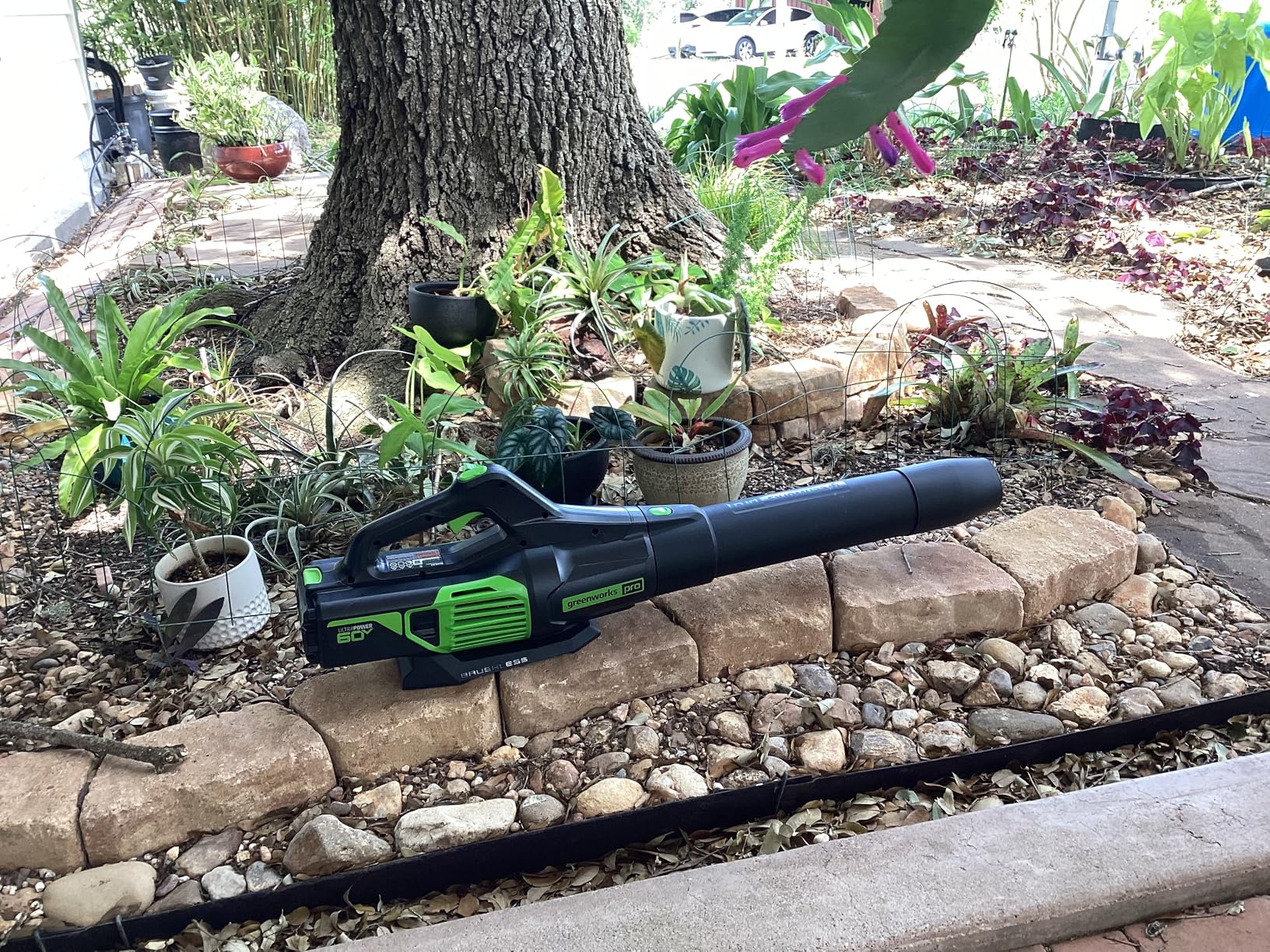 Greenworks Pro Bare Tool 60-Volt Max Lithium Ion 610-CFM GEN2 Brushless Cordless Electric Leaf Blower; Battery and Charger Not Included customer photo 1