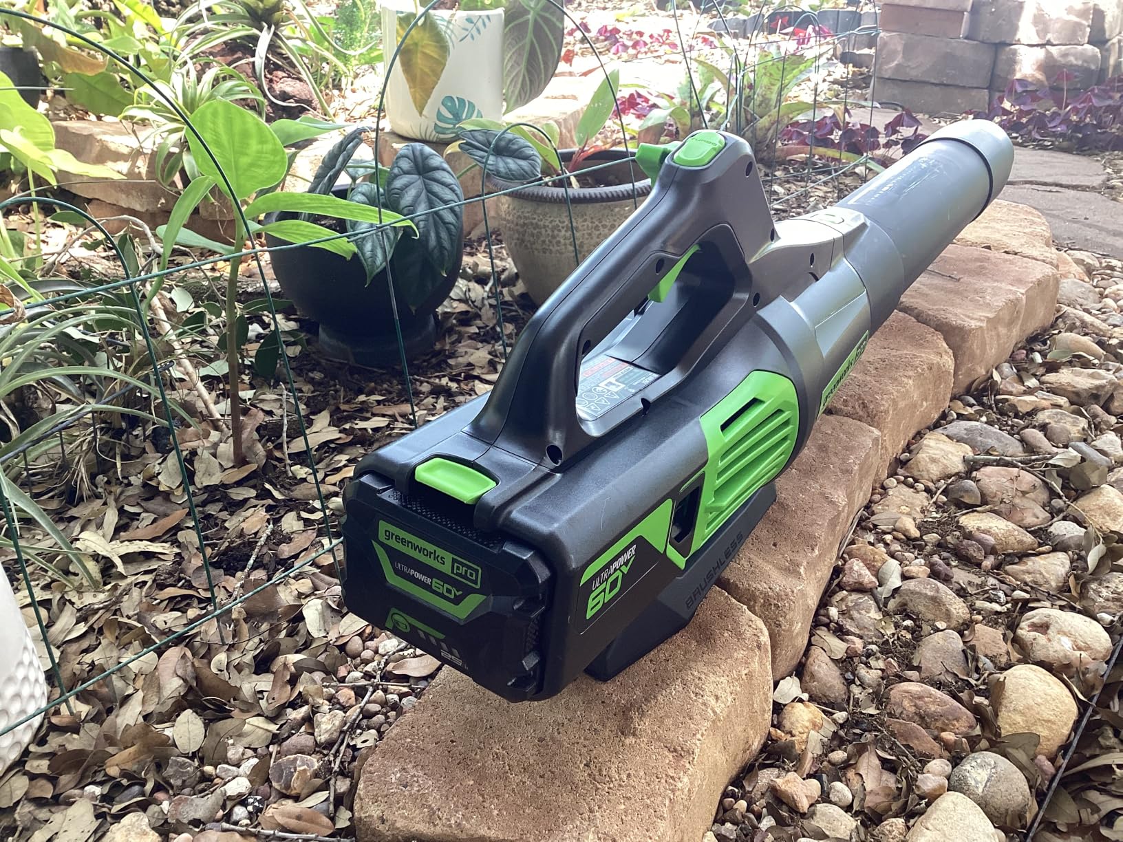 Greenworks Pro Bare Tool 60-Volt Max Lithium Ion 610-CFM GEN2 Brushless Cordless Electric Leaf Blower; Battery and Charger Not Included customer photo 2