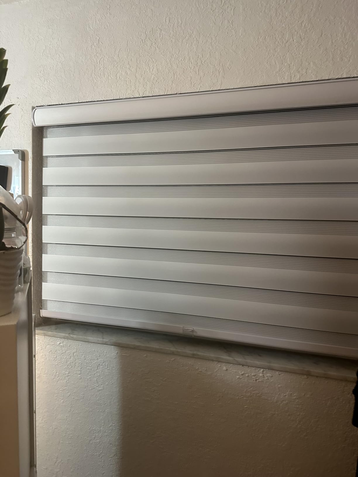CHICOLOGY Zebra Blinds Cordless, Light Filtering, White Shade, 58W x 72H | Dual Layer Zebra Shade, Light Filtering for Windows, Cordless Child Safe, Inside Outside Mount, Bedroom Living Room customer photo 1