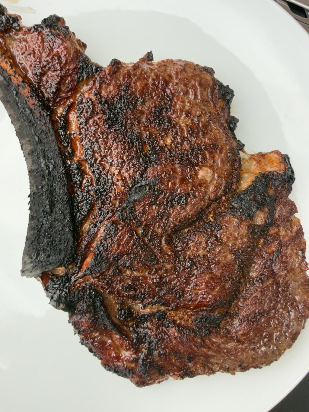 BIG HORN OUTDOORS Infrared Propane Gas Grill 1500°F in 3-5 Mins, 16 inch customer photo 1