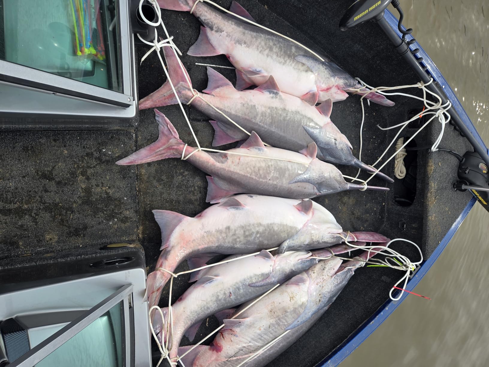 Garmin Striker Vivid 7sv, 7-inch Color Fishfinder with Chirp Plus Clearvü and Sidevü customer photo 2