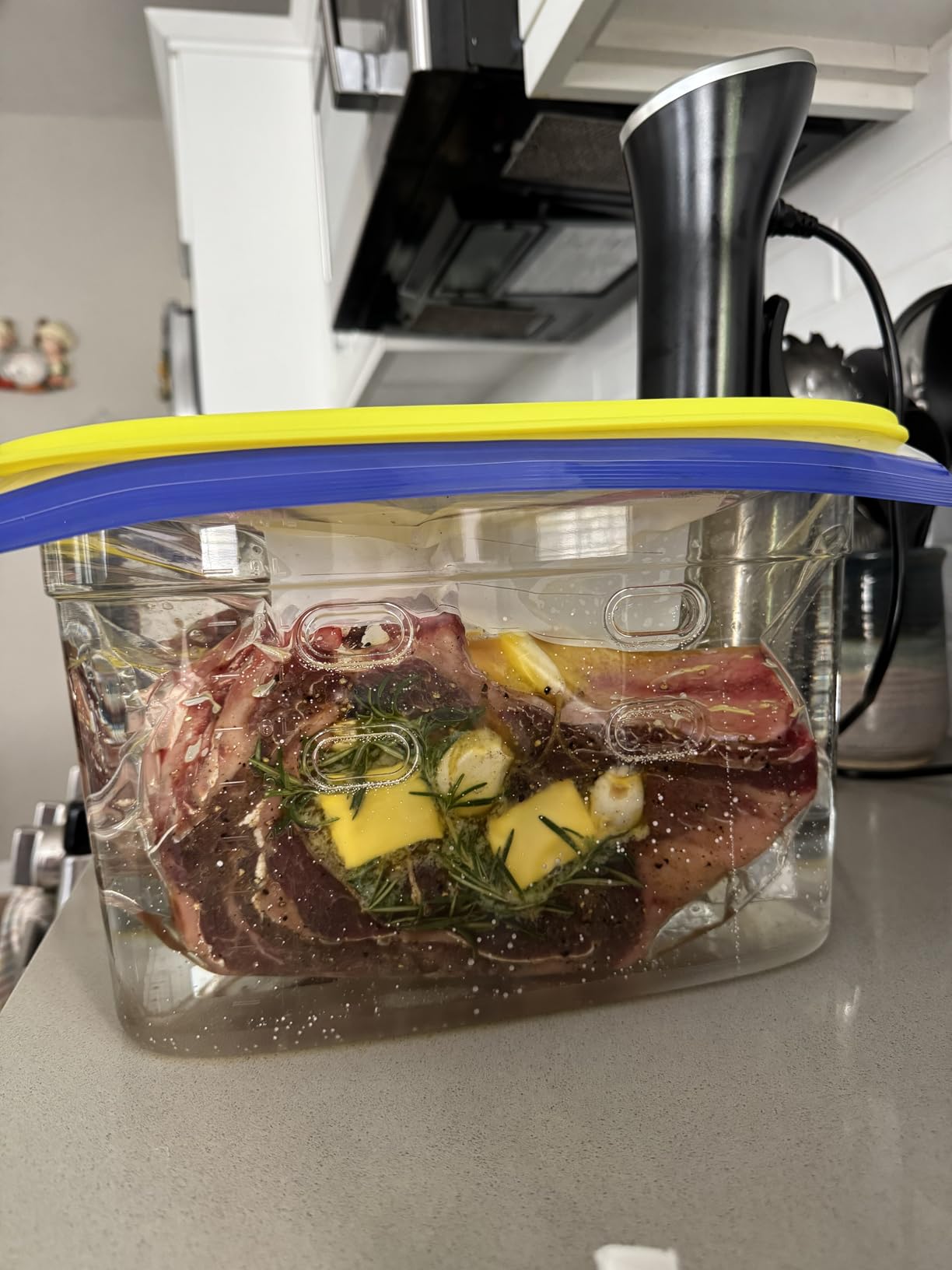 Sous Vide, Wancle Sous Vide Cooker 1100W IPX7 Waterproof Thermal Immersion Circulator customer photo 2