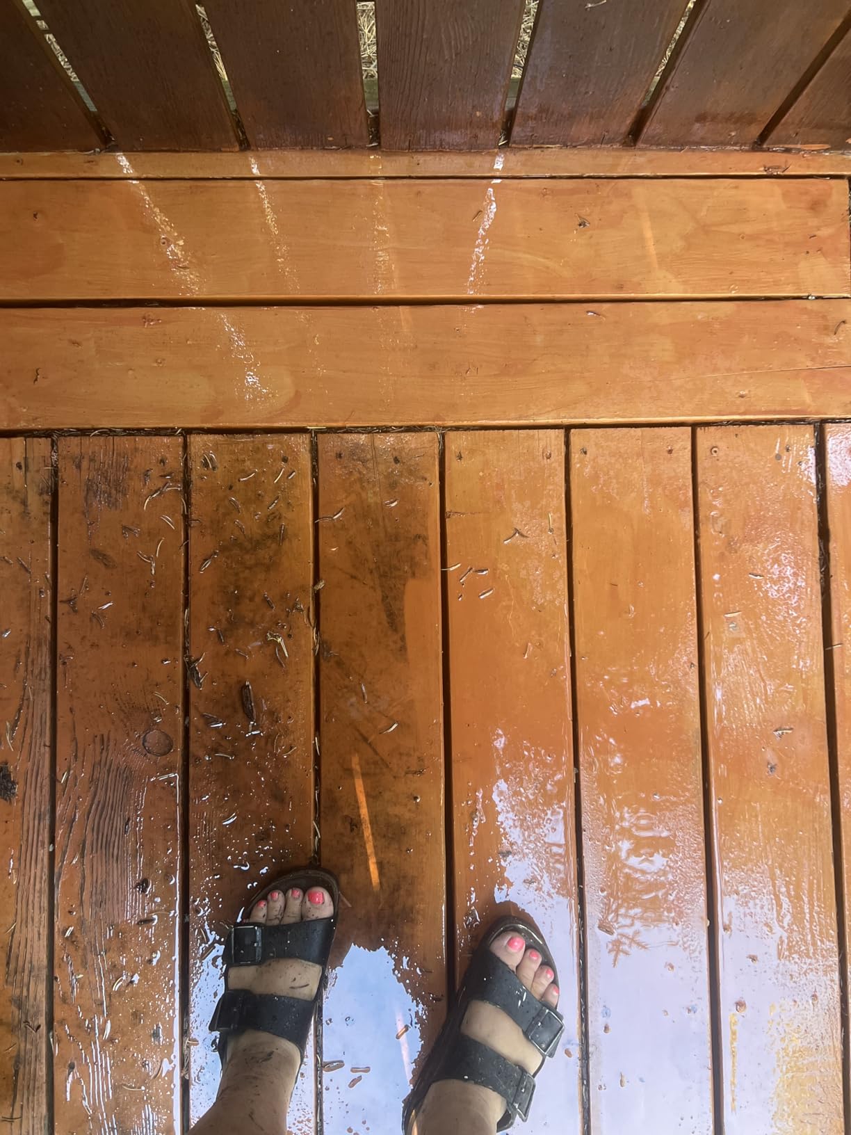 Greenworks 2000 PSI (1.2 GPM) Electric Pressure Washer customer photo 2