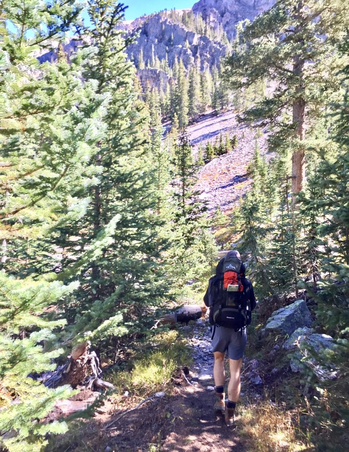 Teton 55L Scout Internal Frame Backpack for Hiking, Camping, Backpacking, Travel, Rain Cover Included, Black customer photo 1