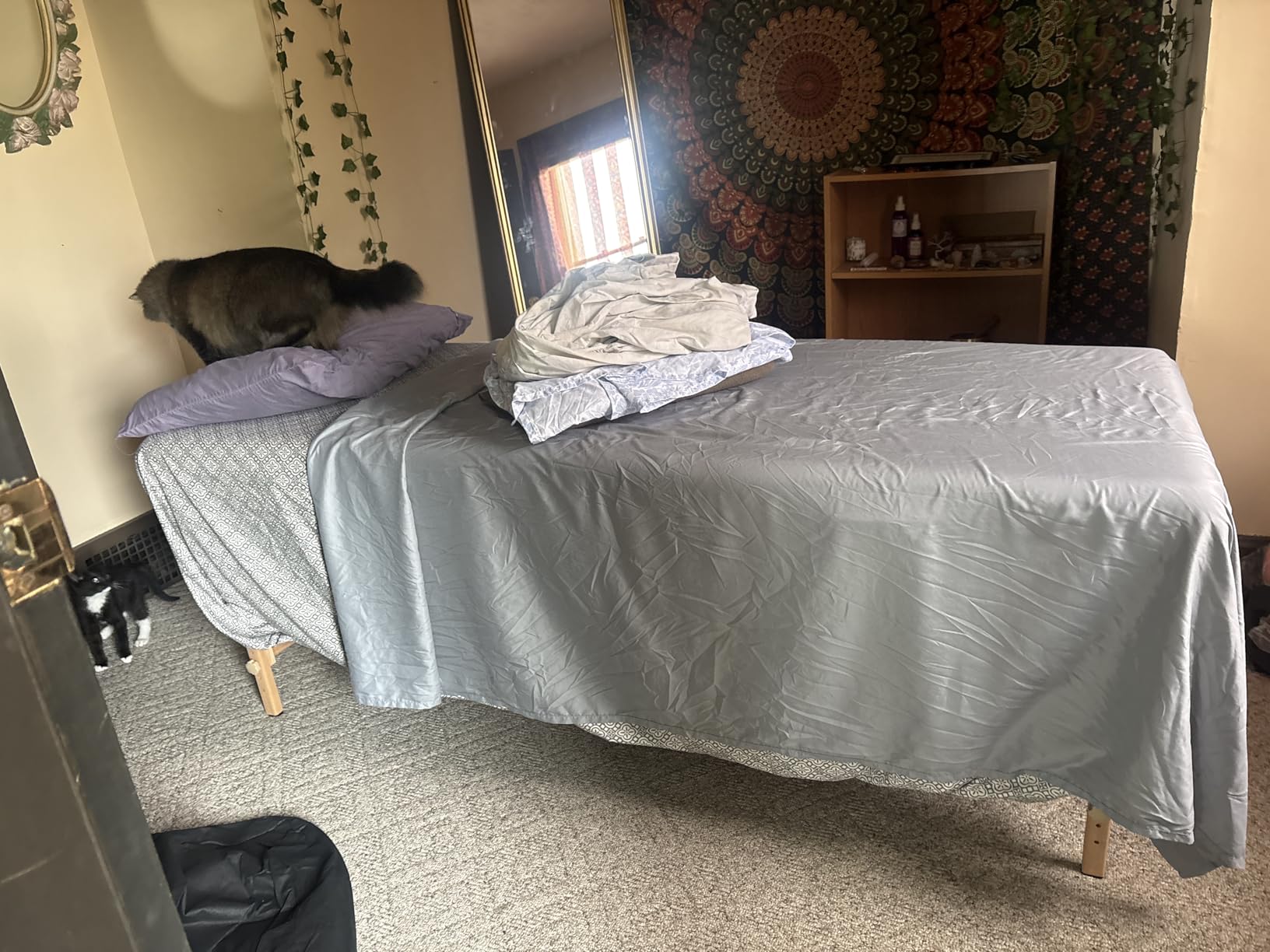 Yaheetech 84x28in Portable Massage Table Folding Adjustable Lash Bed, Black | Beechwood legs, roomy 28in foam top give sturdy, comfy support customer photo 1