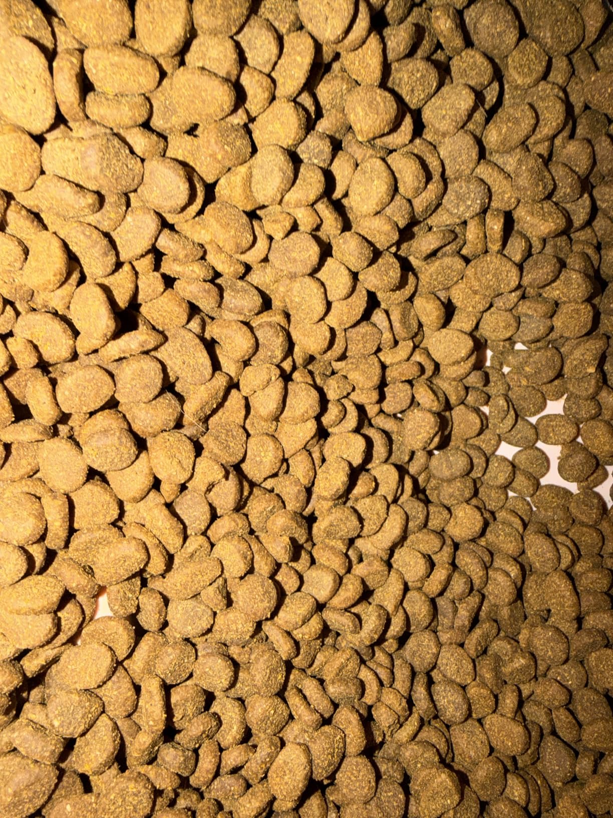 ORIJEN Amazing Grains WHOLEPREY Dry Dog Food Original Recipe, 22.5 lb customer photo 2
