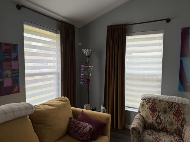 Joydeco Cordless Zebra Blinds for Windows, Dual Layer Free-Stop Zebra Shades Privacy Light Control for Day and Night, Light Filtering Sheer Blinds for Indoor Windows, Home (35