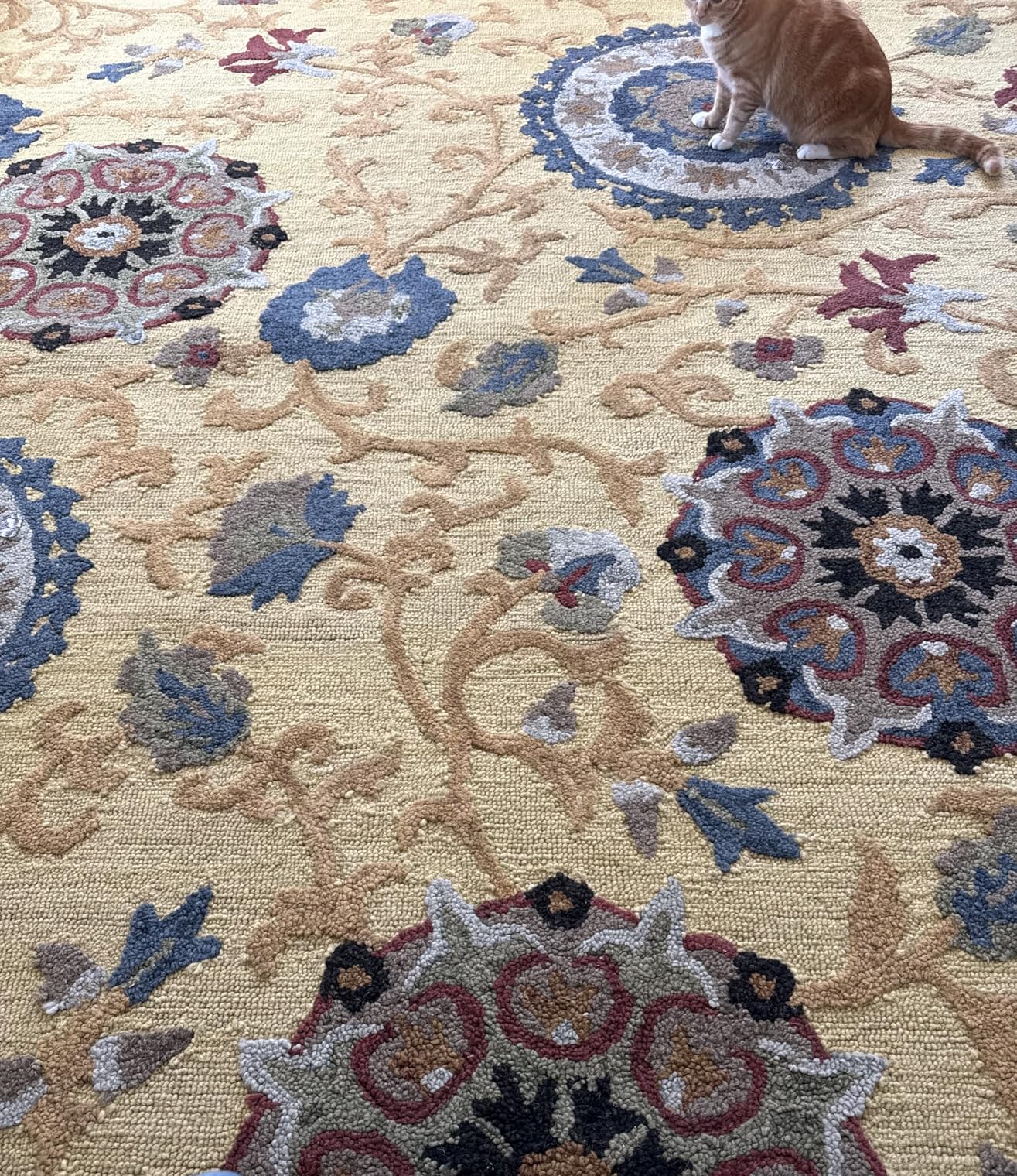 SAFAVIEH Blossom Collection 9x12 Area Rug - Navy & Multi, Handmade Wool customer photo 2