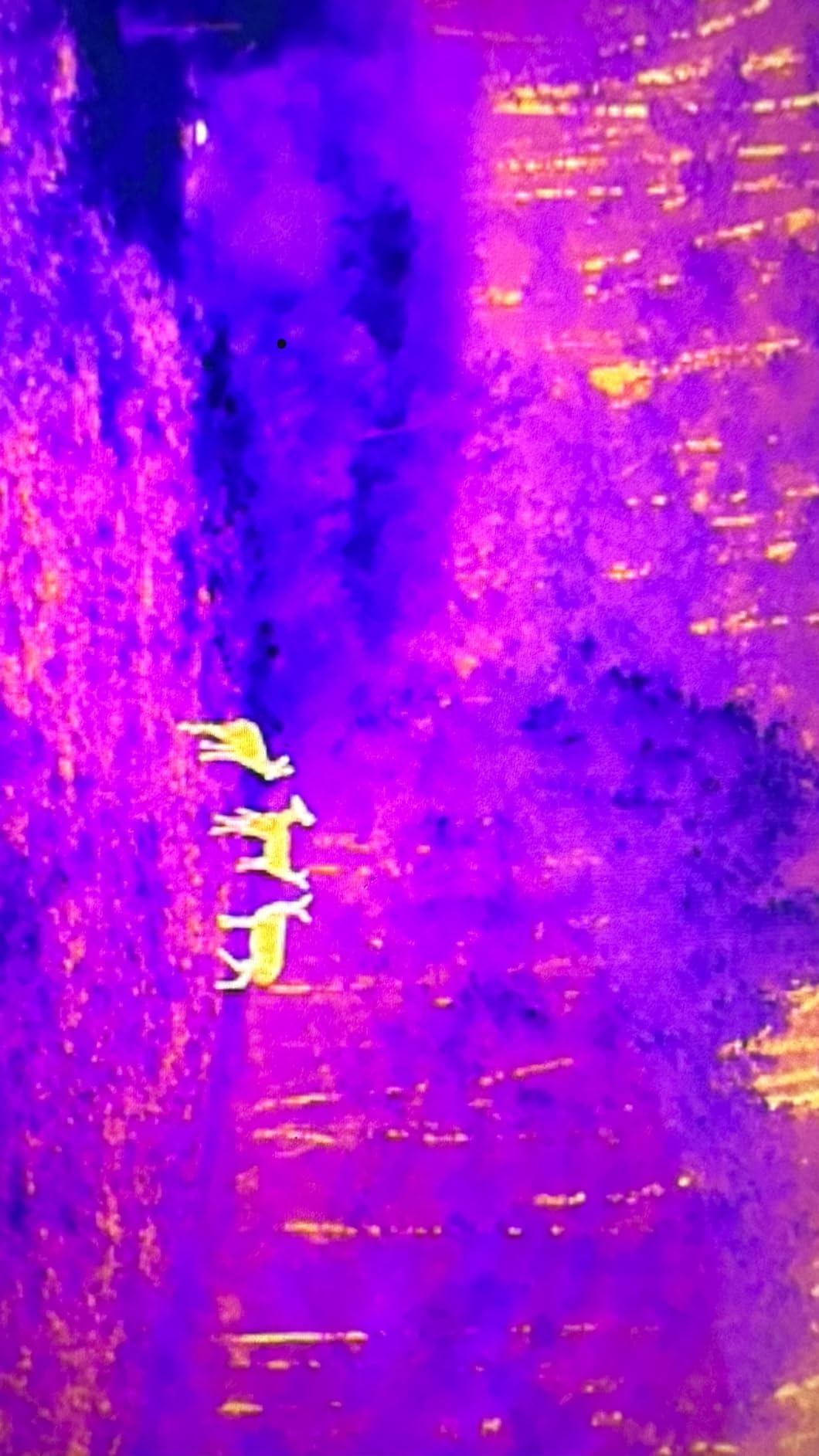 Autel Robotics EVO II Dual 640T V3, 640x512 Thermal Imaging Drone, RemoteID | 0.8
