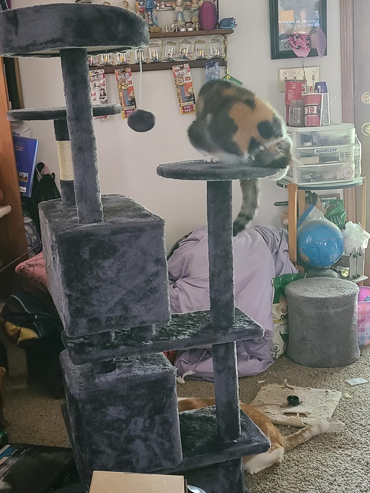 BestPet | 36