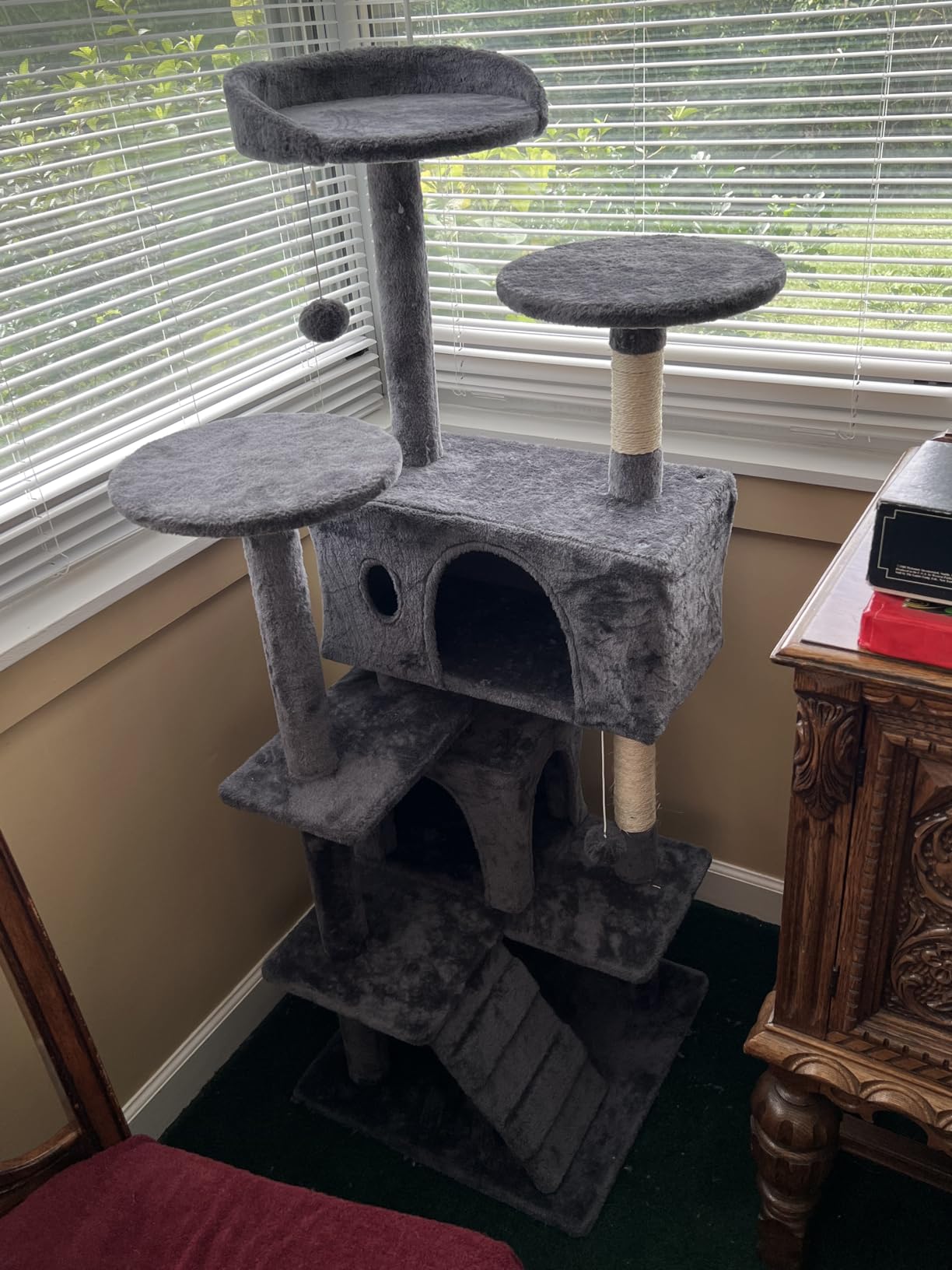 BestPet | 36