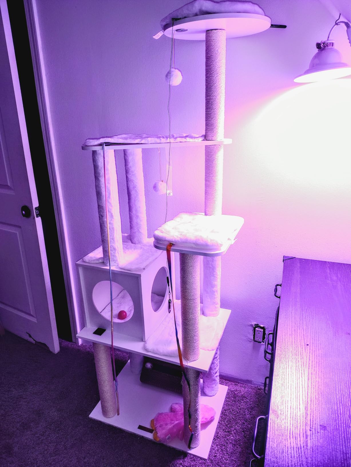 Feandrea Cat Tree, 64.6-Inch Modern Cat Tower, Multi-Level Condo with 5 Scratching Posts customer photo 1