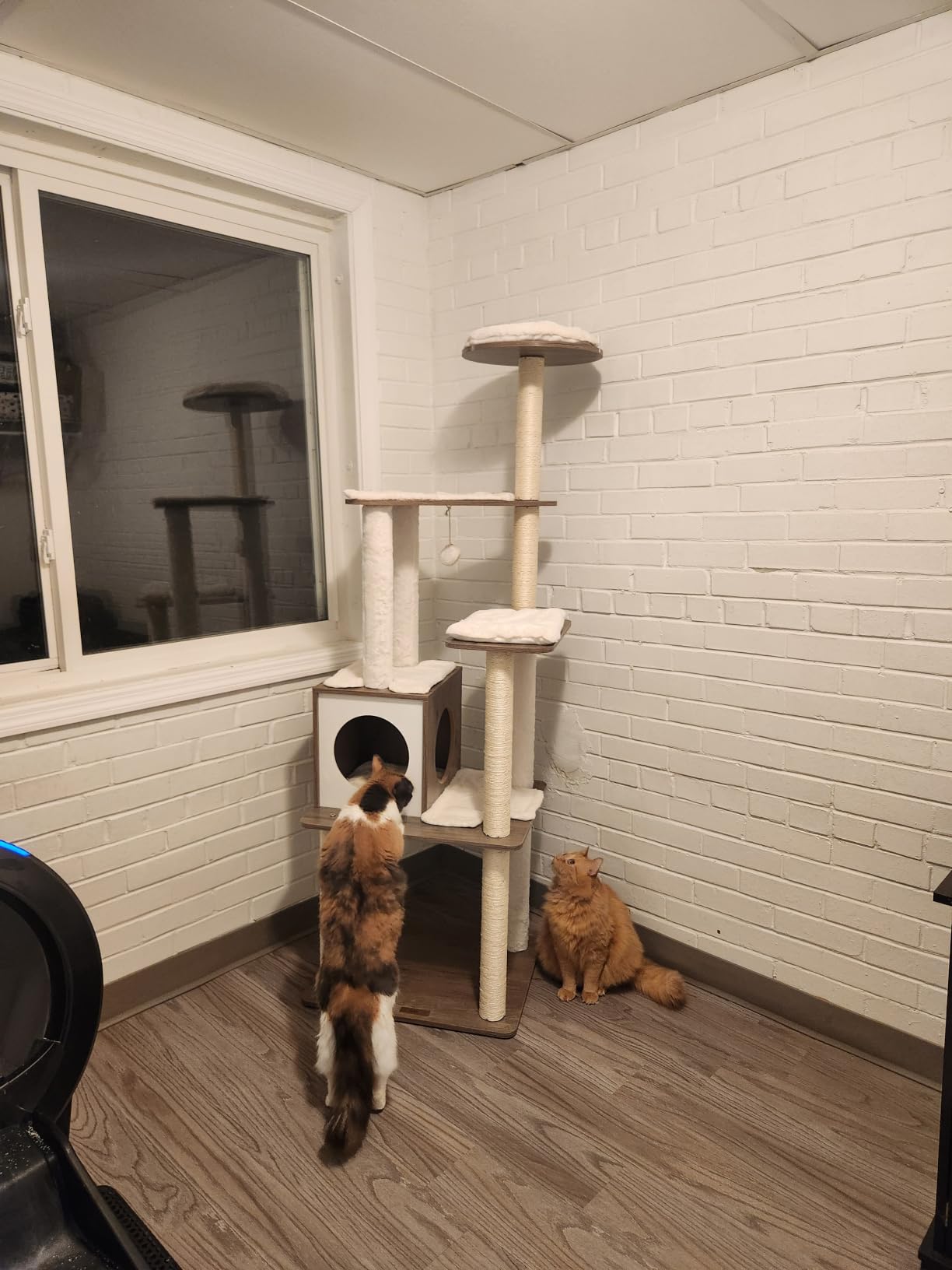 Feandrea Cat Tree, 64.6-Inch Modern Cat Tower, Multi-Level Condo with 5 Scratching Posts customer photo 2