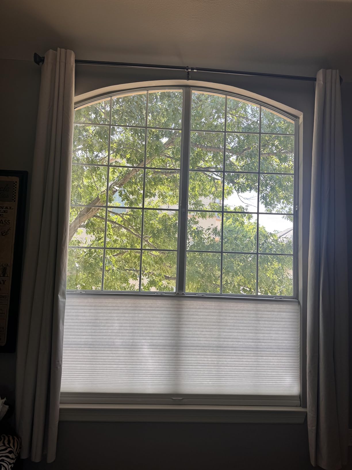 Persilux Custom Size Cellular Shades Top Down Bottom Up Cordless Light Filtering Honeycomb Blinds Thermal UV Protection Energy Saving Pleated Window Shades for Indoor Windows Easy to Install White customer photo 2