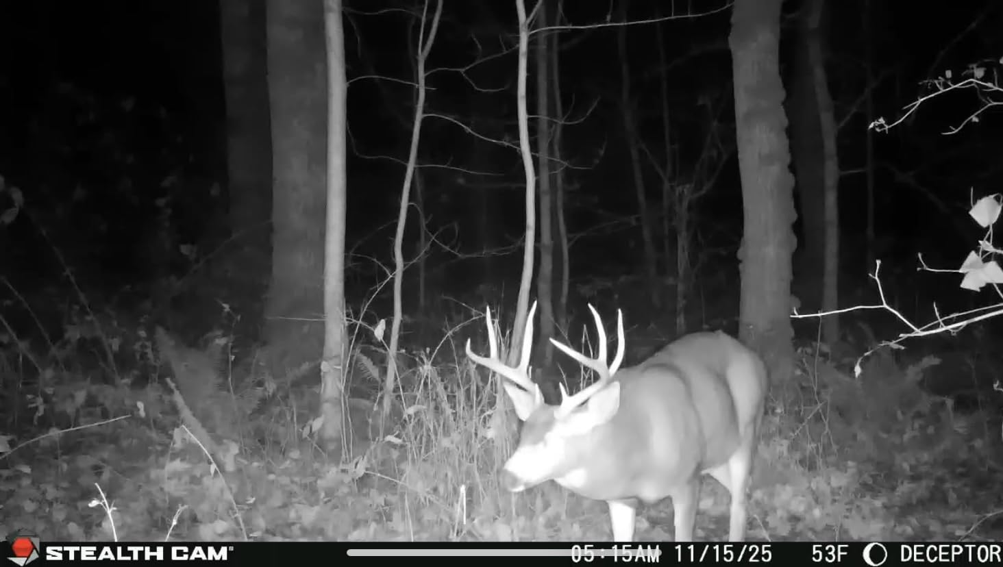 Stealth Cam Deceptor No Glo 80ft Detection & IR Range 40MP Photo 1440P HD Video Capture Remote App Control Wireless Hunting Cellular Trail Camera - Available on AT&T & Verizon customer photo 1