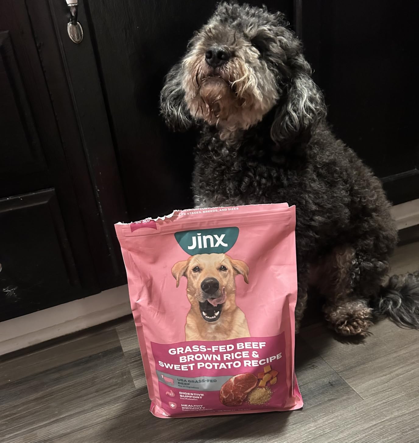 Jinx Dry Dog Food - Real Salmon, Brown Rice & Sweet Potato, 4lb | Premium Kibble for Digestive Support & Healthy Immunity - No Fillers, All Lifestages (Puppy, Adult & Senior), Breeds & Sizes customer photo 2