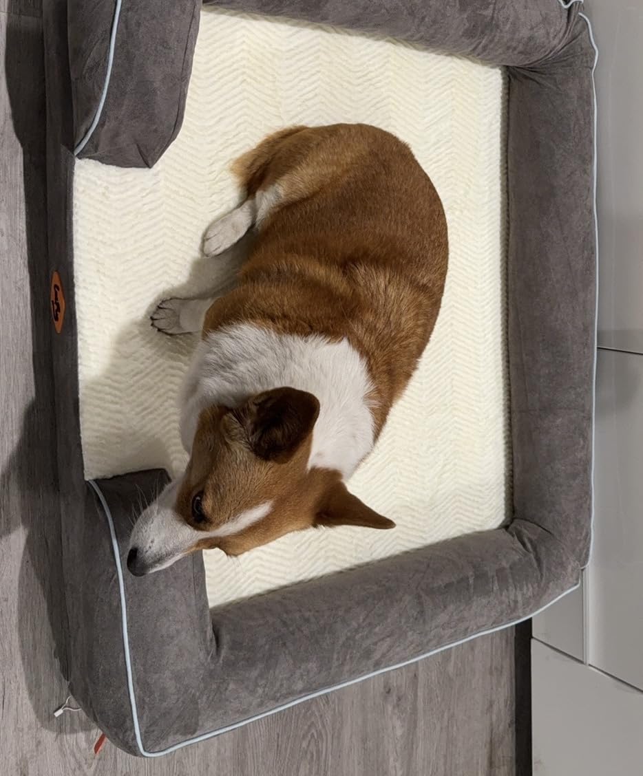 Laifug Large Orthopedic Premium Memory Foam Dog Bed, Dog Sofa with Washable and Removable Suede Cover, Waterproof Liner and Non-Slip Bottom Grey, Large(40''x32''x9'') customer photo 2