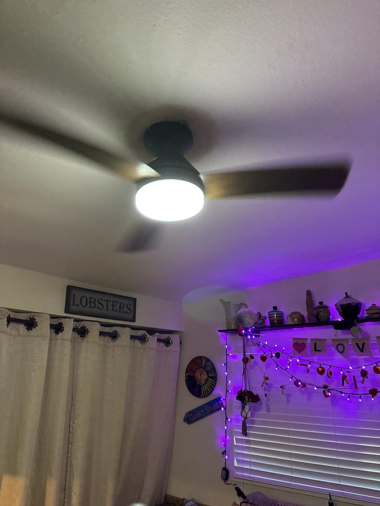 Amico 42 Inch Black Low Profile Ceiling Fans with Lights and Remote | Flush mount, 3-color dimmable light, quiet reversible DC motor, easy install, memory, timer, bedroom, covered outdoor areas customer photo 2