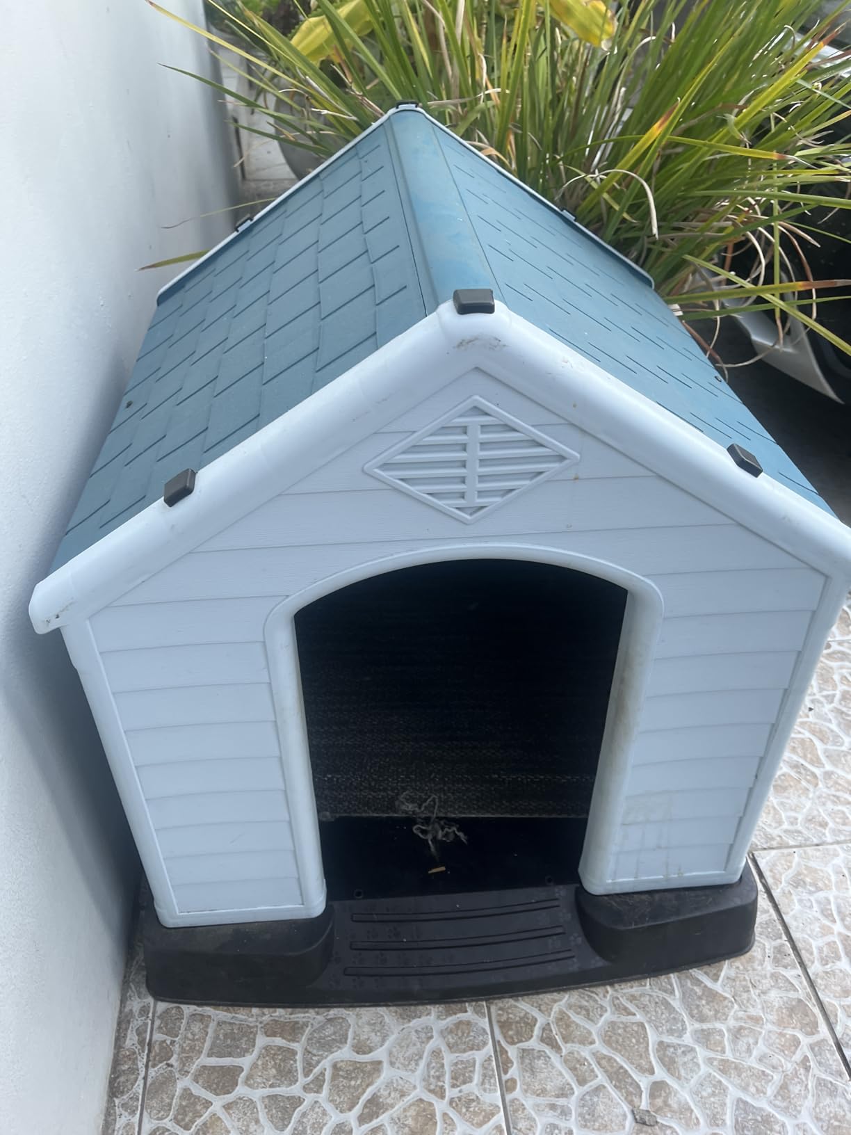 Elevon Plastic Dog House, Insulated Doghouse Puppy Shelter, Water Resistant Easy Assembly Sturdy Dog Kennel with Elevated Floor and Air Vents, Ventilate for Small to Large Sized Dogs (29-Inch, Blue) customer photo 1