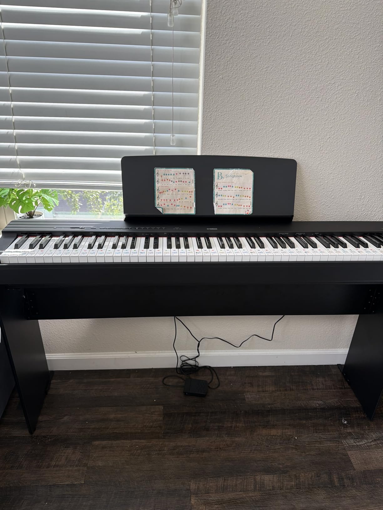 Yamaha P225 88-Key Digital Piano with Weighted Keys, Portable Design, Keyboard, Music Rest, Sustain Foot Switch, and Built-In Speakers, Black customer photo 2