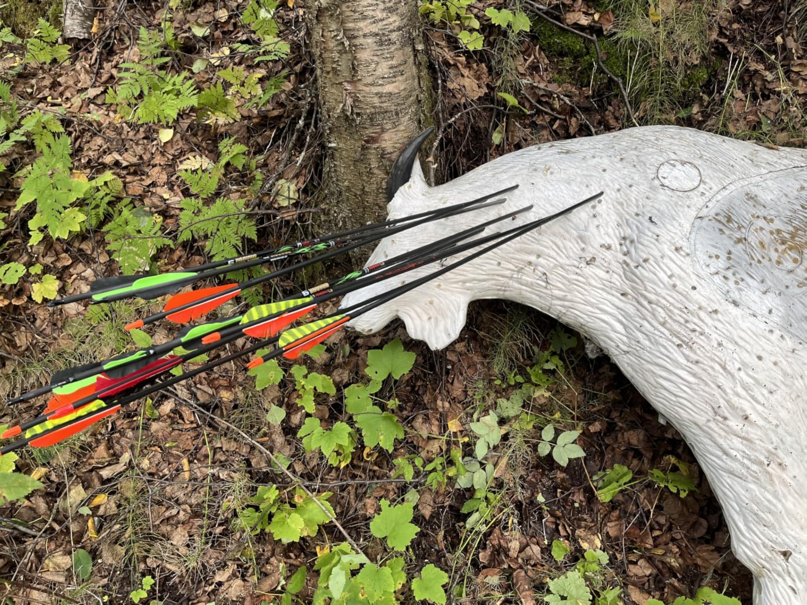 Sanlida Dragon X9 Ready to Hunt Compound Bow Package for Adults, Archery Compound Bow and Arrow Set, 0-70 Lbs Draw Weight, No Bow Press Needed, Limited Life-time Warranty, RH Only customer photo 1