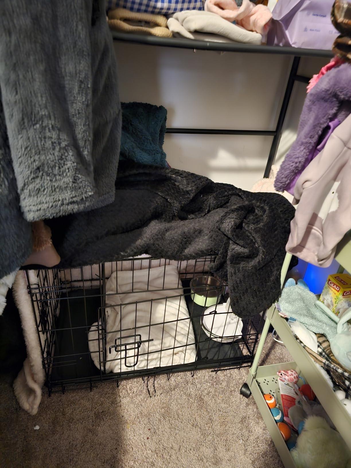 PayLessHere Small Dog Crate Kennel 24 inches Metal Dog Cage Double-Door Folding Travel Indoor Outdoor Puppy Playpen with Divider and Handle Plastic Tray,Black customer photo 1