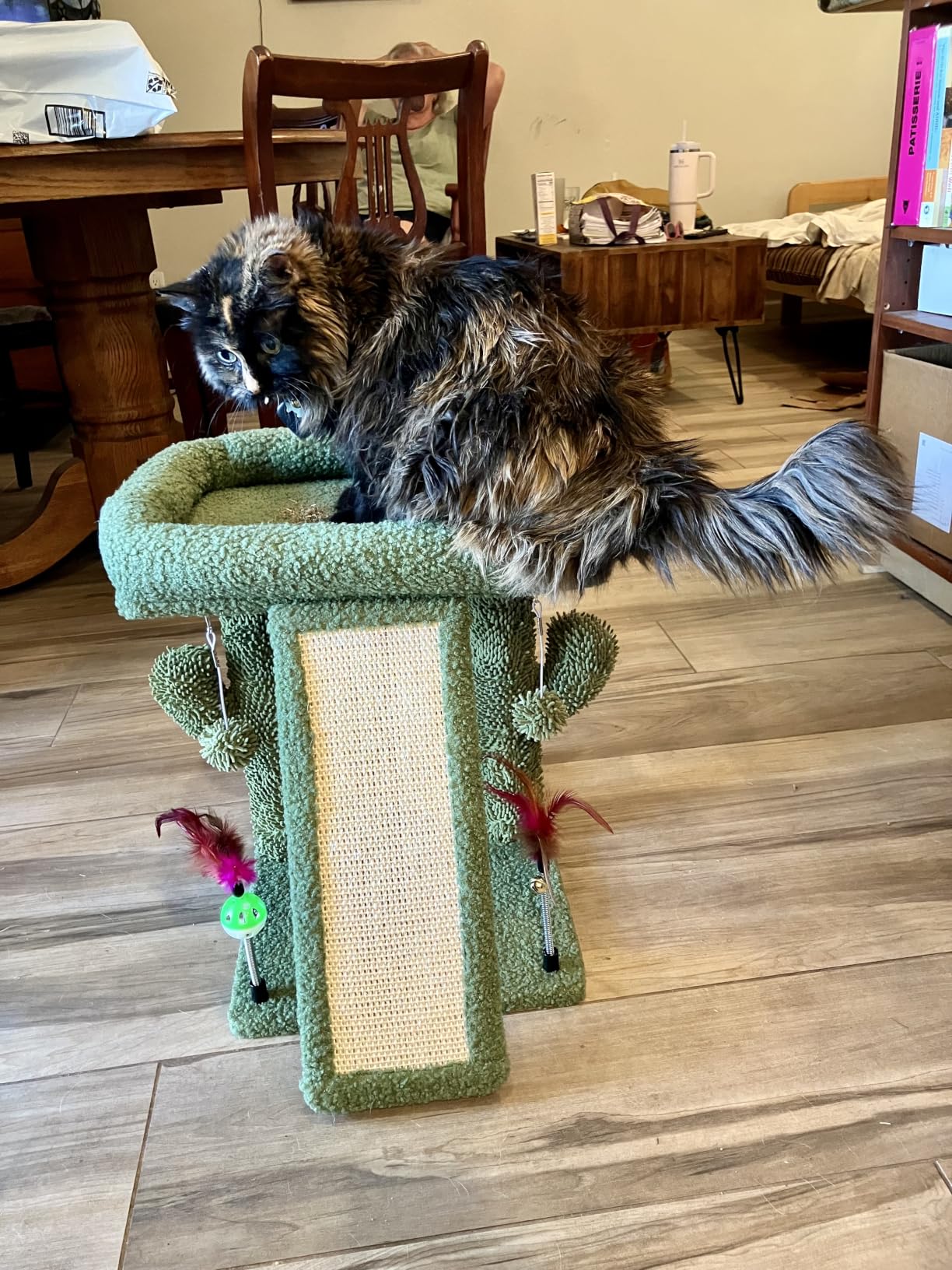 TWDEPART Cactus Cat Tree Tower with Cat Scratching Post for Indoor Cats,Activity Centre Climbing Tree Cat Furniture with Playful Toy Balls,Green customer photo 1