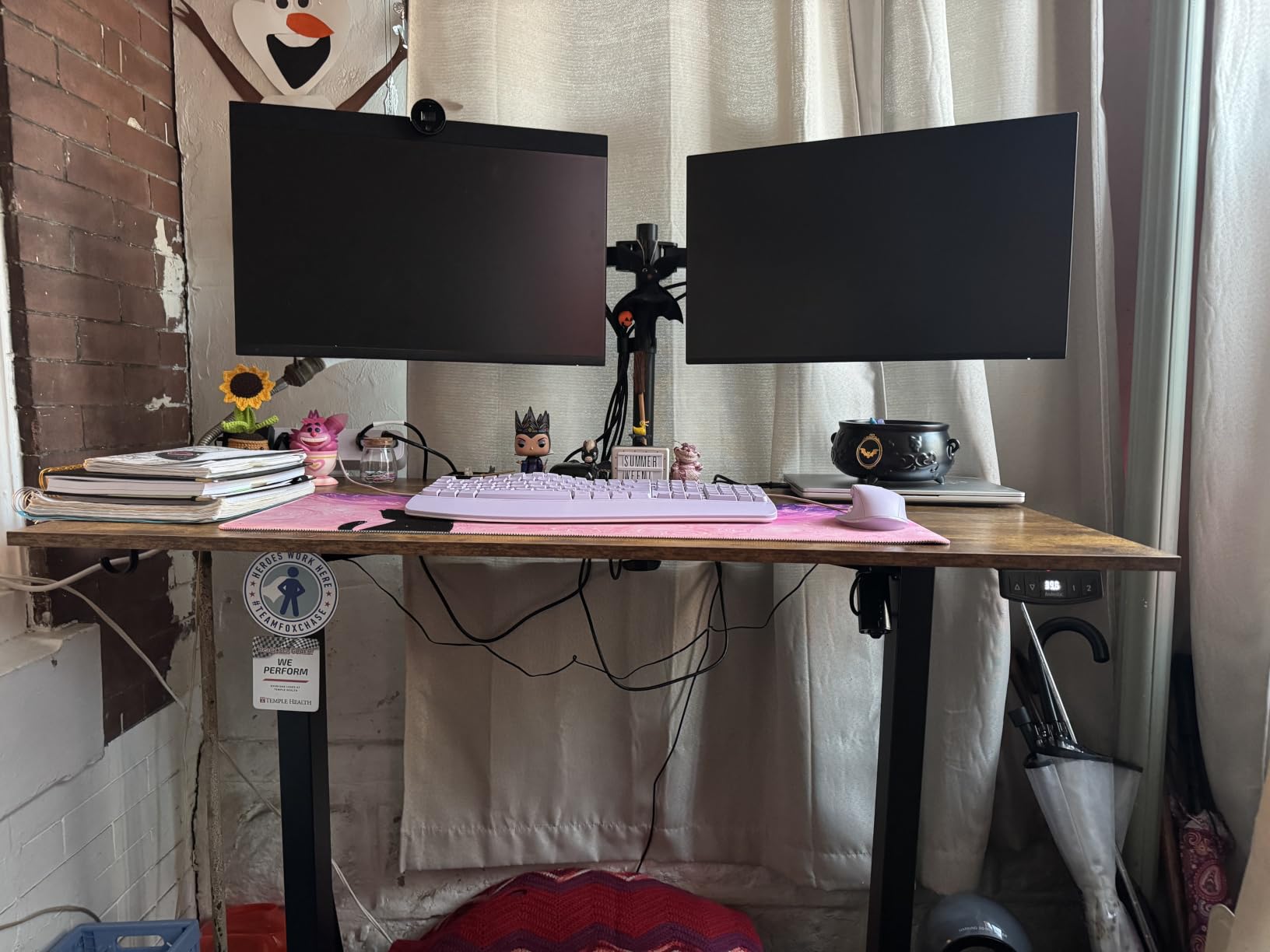 Agilestic 48x24 customer photo 2
