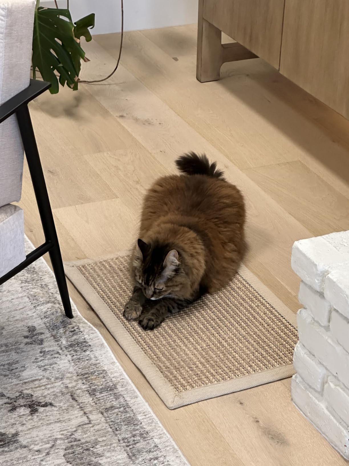 FUKUMARU Cat Scratcher Mat, 23.6 X 15.7 Inch Natural Sisal Cat Scratch Mats, Horizontal Cat Floor Scratching Pad Rug with Sticky Tapes, Protect Sofa and Carpet customer photo 1