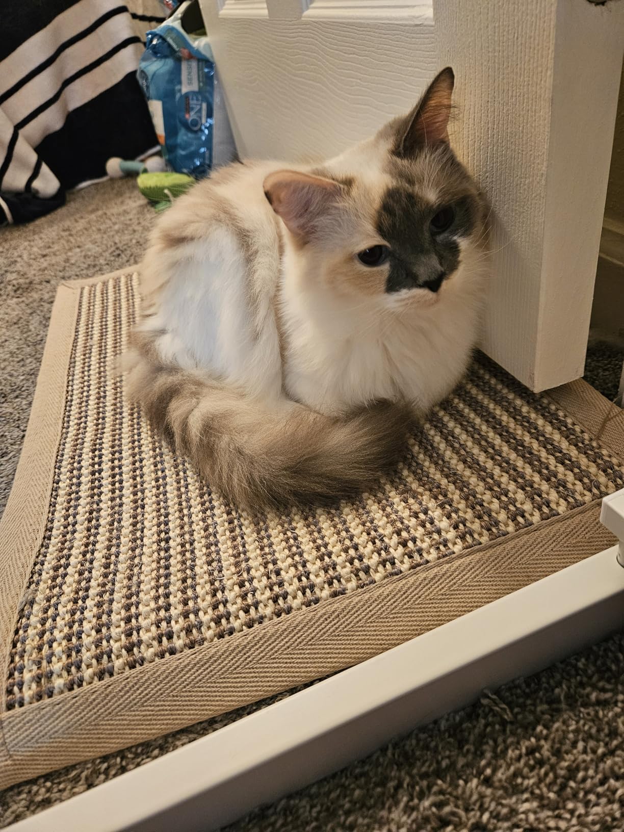FUKUMARU Cat Scratcher Mat, 23.6 X 15.7 Inch Natural Sisal Cat Scratch Mats, Horizontal Cat Floor Scratching Pad Rug with Sticky Tapes, Protect Sofa and Carpet customer photo 2
