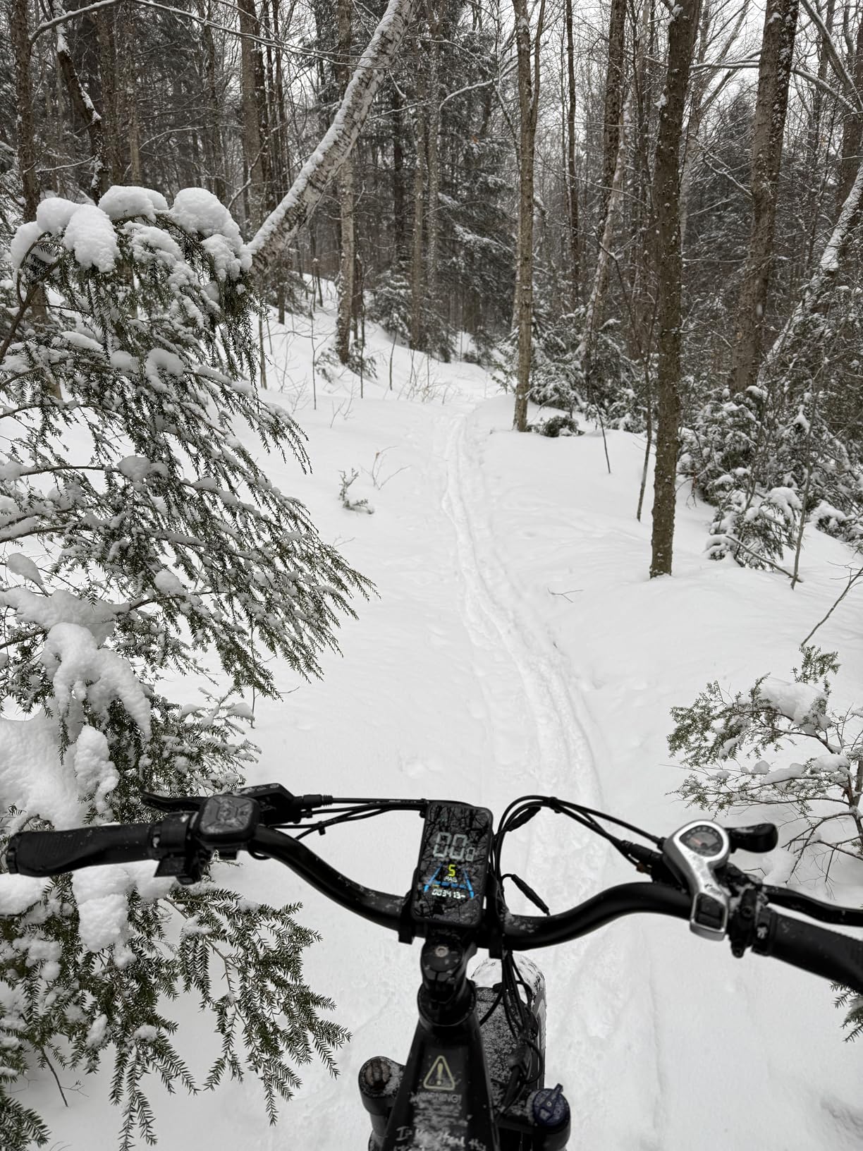 FREESKY Wildcat Ultra 3000W Electric Bike for Adults 105mile Long Range Samsung Cells Battery Step-Thru Ebike 37MPH Fast Dirt E Bike 25Ah 26'' Fat Tire Electric Bicycle Full Suspension for Commute customer photo 2