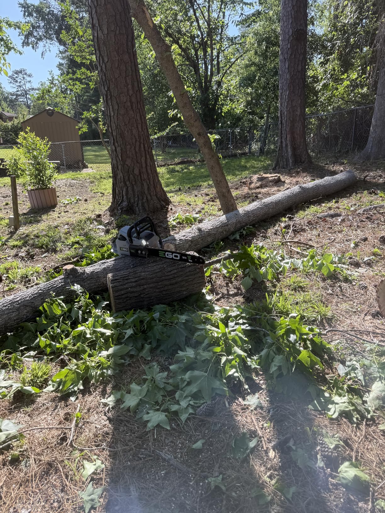 EGO POWER+ Chain Saw, 20