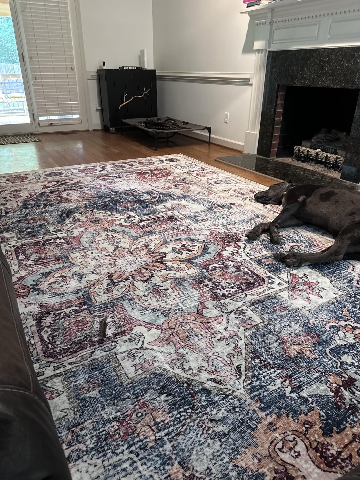 CHAMPLANT Washable Area Rug 5'x7' for Living Room Retro Beige Blue Boho Chic Medallion Distressed Design Indoor Non-Slip Large Persian Oriental Accent Throw Rug for Kitchen Bedroom Office Carpet customer photo 2