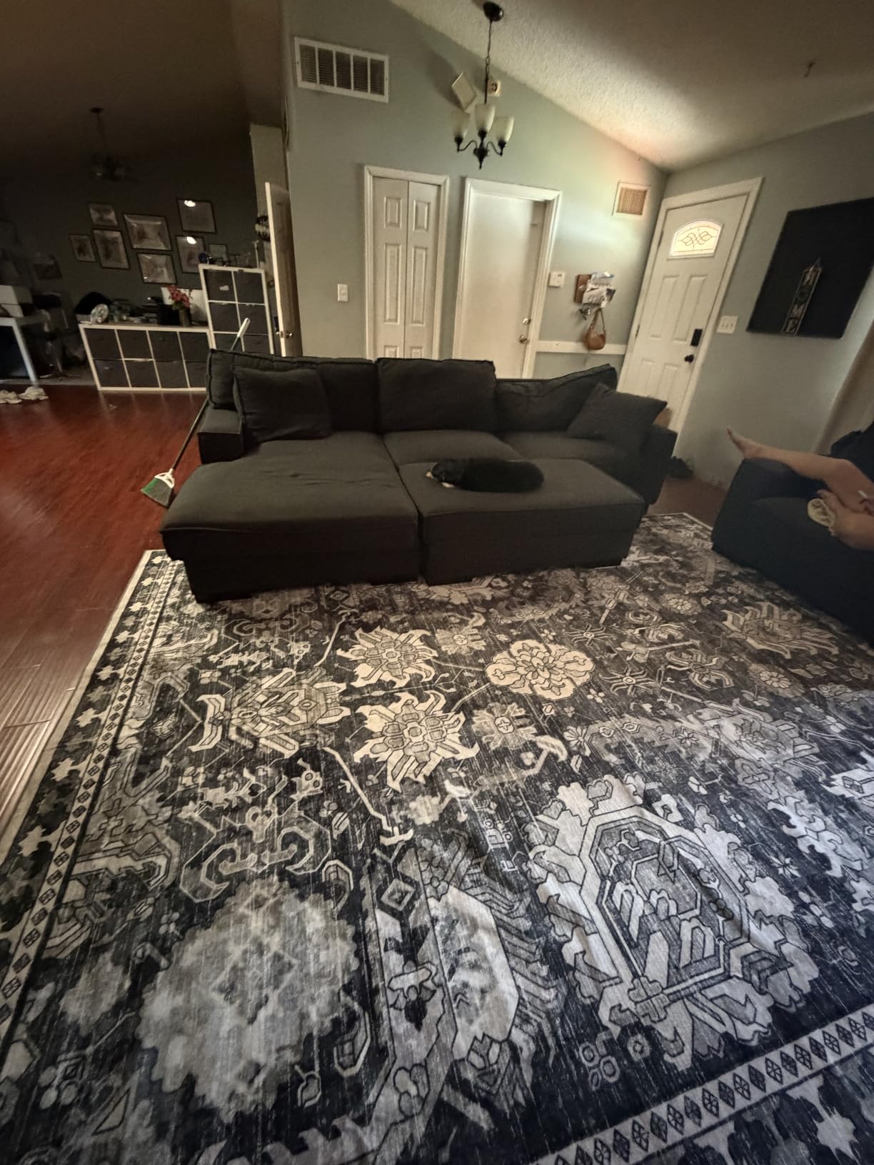 Washable Area Rug - 1/6 Thick - Stain & Water Resistant Non-Slip - Resistant Rug for Living Room, Bedroom, Nursery, Pet & Child Friendly, Vintage Charm Area Rugs (Darkgrey+Blue, 6' x 9') customer photo 1
