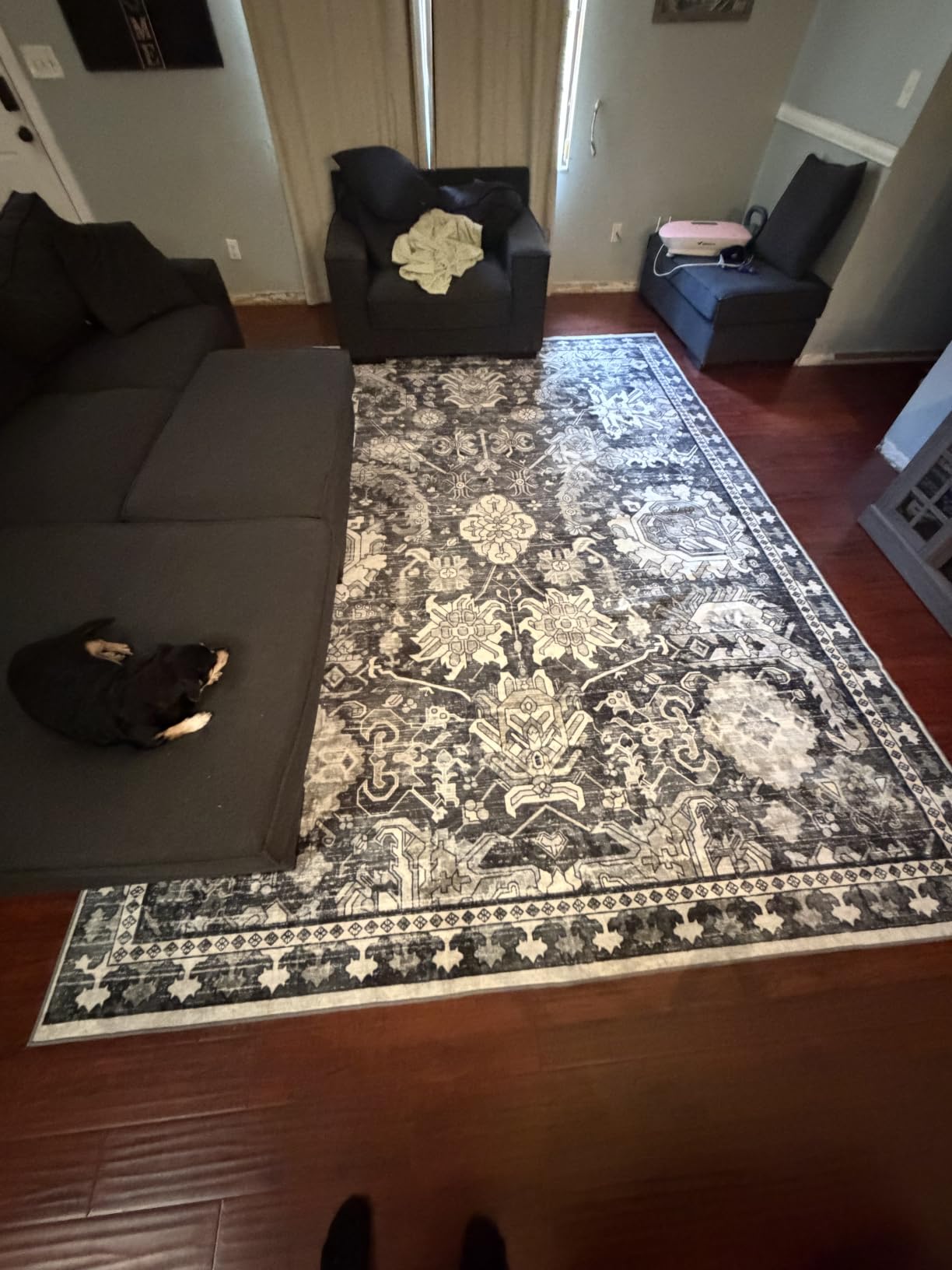 Washable Area Rug - 1/6 Thick - Stain & Water Resistant Non-Slip - Resistant Rug for Living Room, Bedroom, Nursery, Pet & Child Friendly, Vintage Charm Area Rugs (Darkgrey+Blue, 6' x 9') customer photo 2