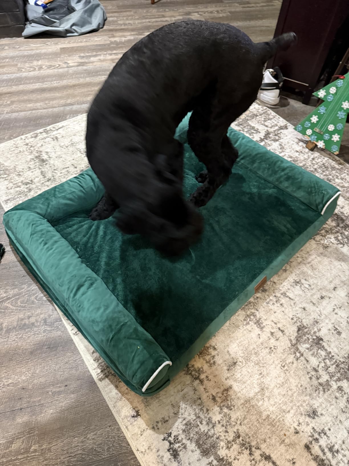 NANUYA Orthopedic Dog Bed for Large Dogs, 36 x 27 Inch, Light Grey | Egg crate foam for joint support, 3-sided bolster pet sofa, waterproof lining, washable cover, and non-skid base customer photo 2