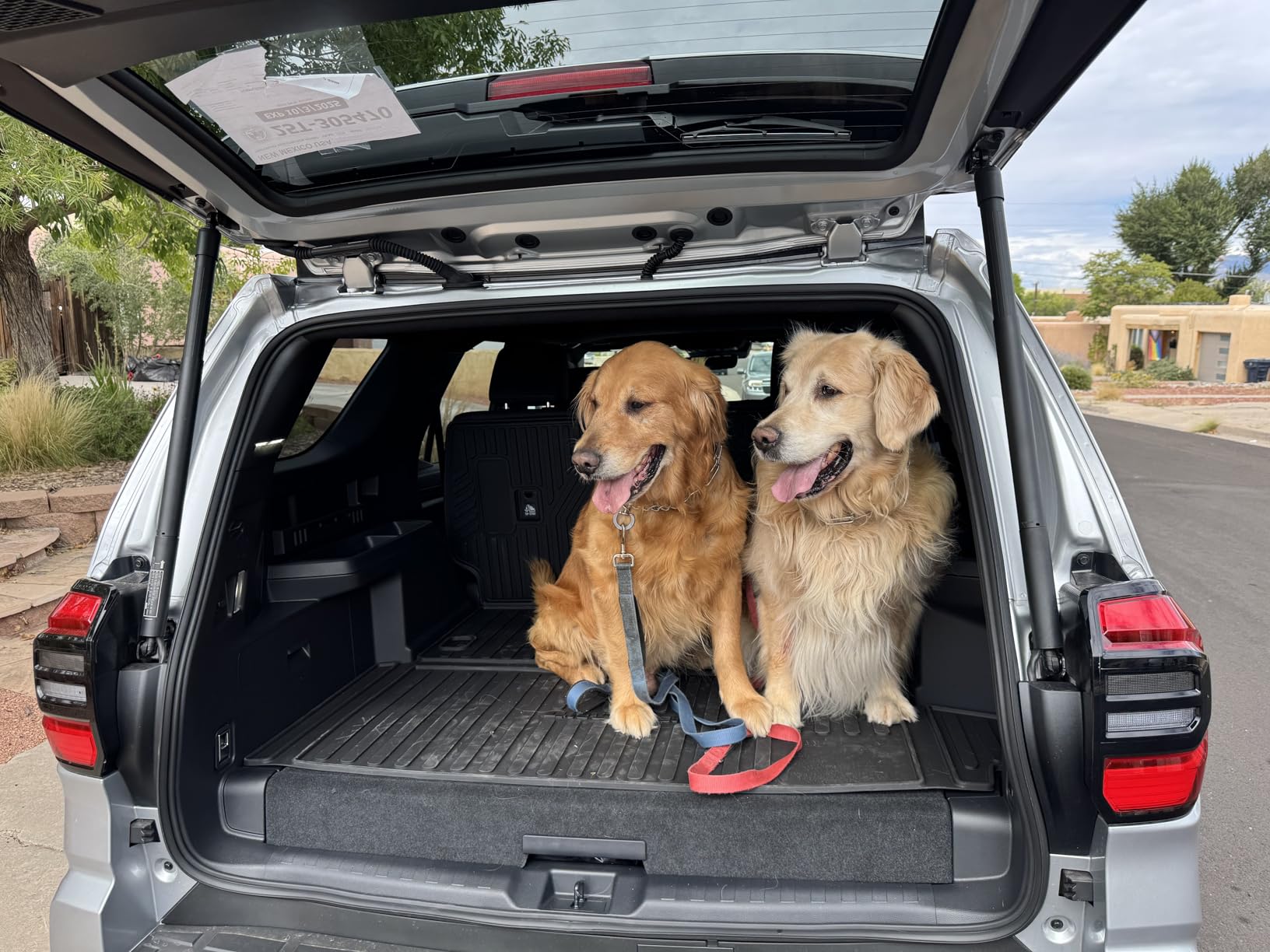 PetThem Dog Ramp for Cars, 63