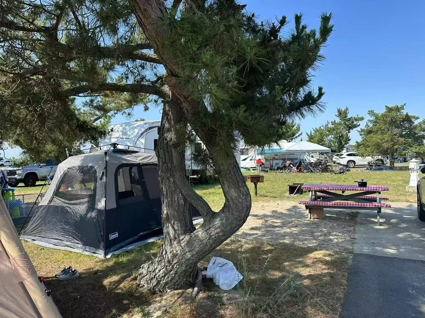 Coleman 4/6/8/10 Person Instant Camping Tent with 1-Minute Setup customer photo 1