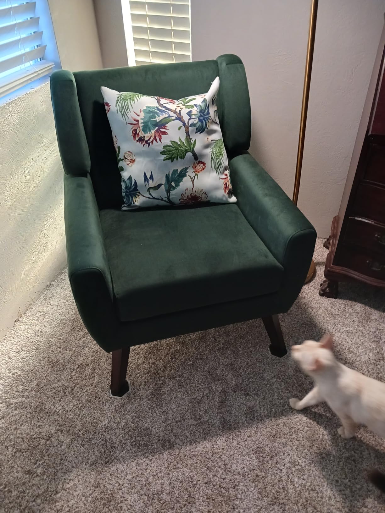 Mid-Century Modern Velvet Accent Chair, Royal Blue, Set of 2 | Tufted Button Backrest Armchair, 4.5