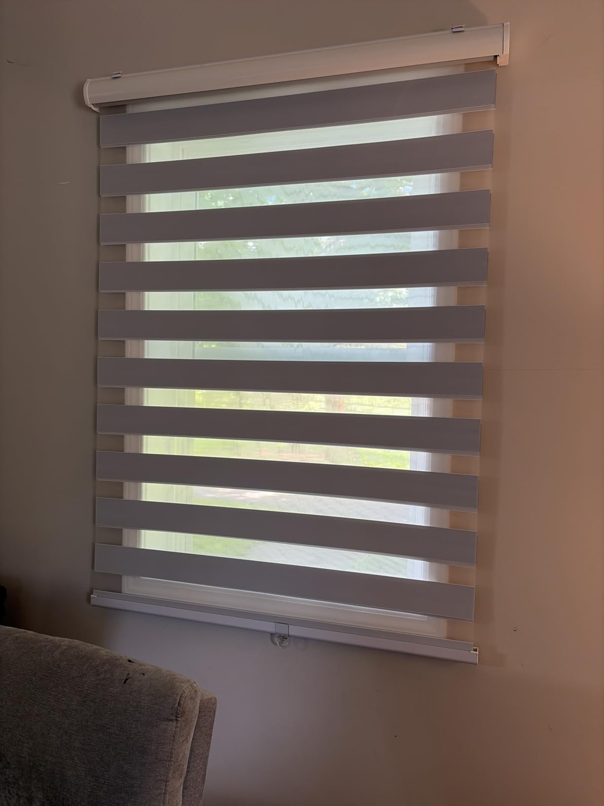 LUCKUP Cordless Zebra Blinds Roller Shades for Window-Dual Layer Sheer Blinds Light Control with Valance Day Night Privacy Light Filtering Fabric, 45