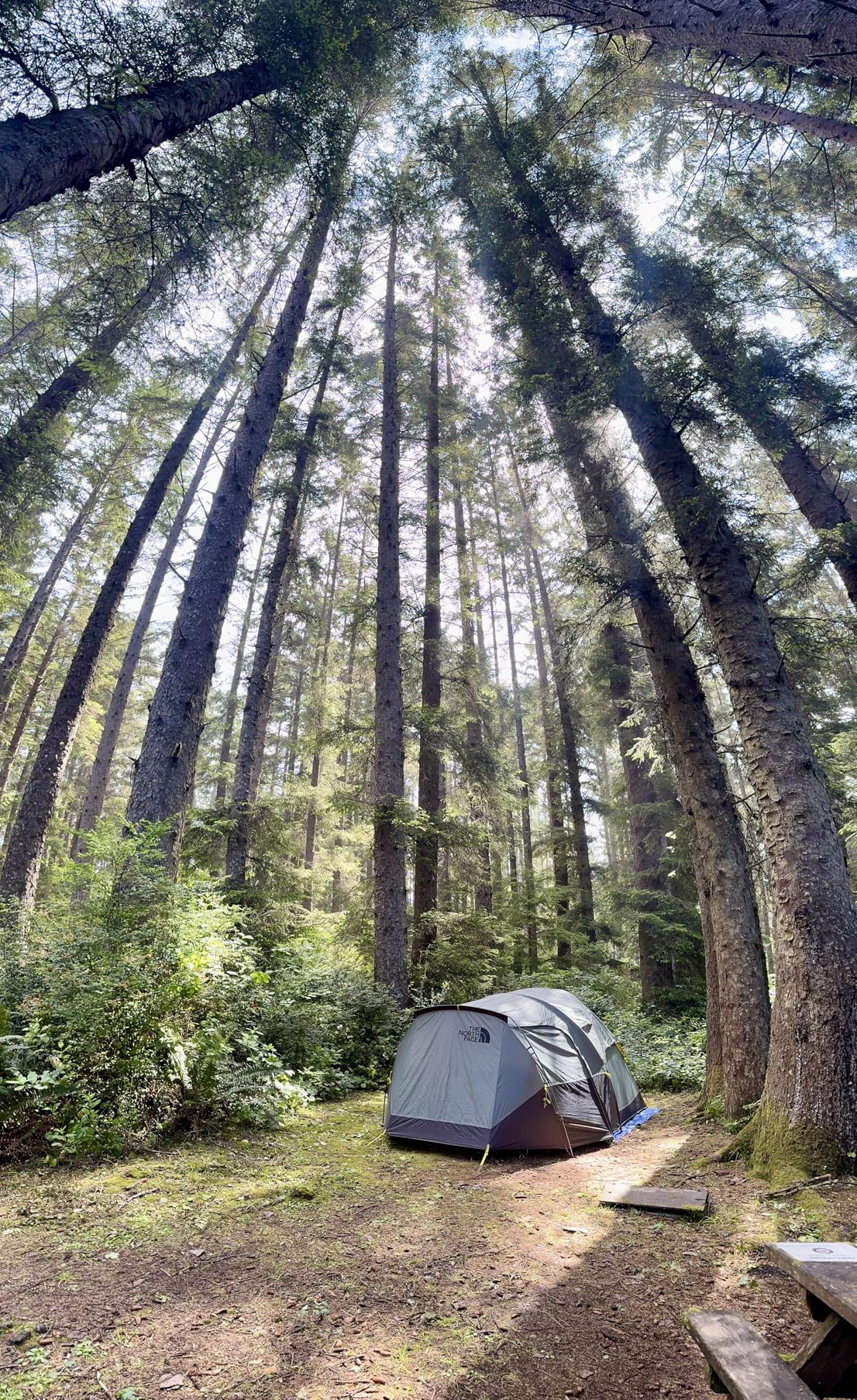 The North Face Wawona 6 Tent | Six-Person Camping Tent, Water Repellent, Spacious & Easy to Set Up, Attached Vestibule Area customer photo 1