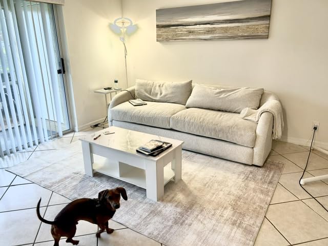 Area Rugs 6x9 Living Room: Washable Rug Modern Abstract Large Rug Soft Non Slip Neutral Rugs Stain Resistant Indoor Carpet for Bedroom Kitchen Dining Room Table Nursery Home Office Rugs(Beige,6'x9') customer photo 2