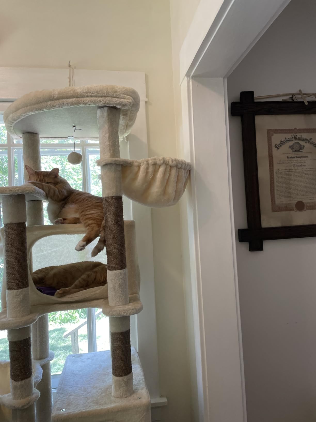 Globlazer Heavy Duty Cat Tree, 74in Sturdy Cat Tower for Large Cats, 7 Sisal Scratching Posts, 2 Padded Condos customer photo 2