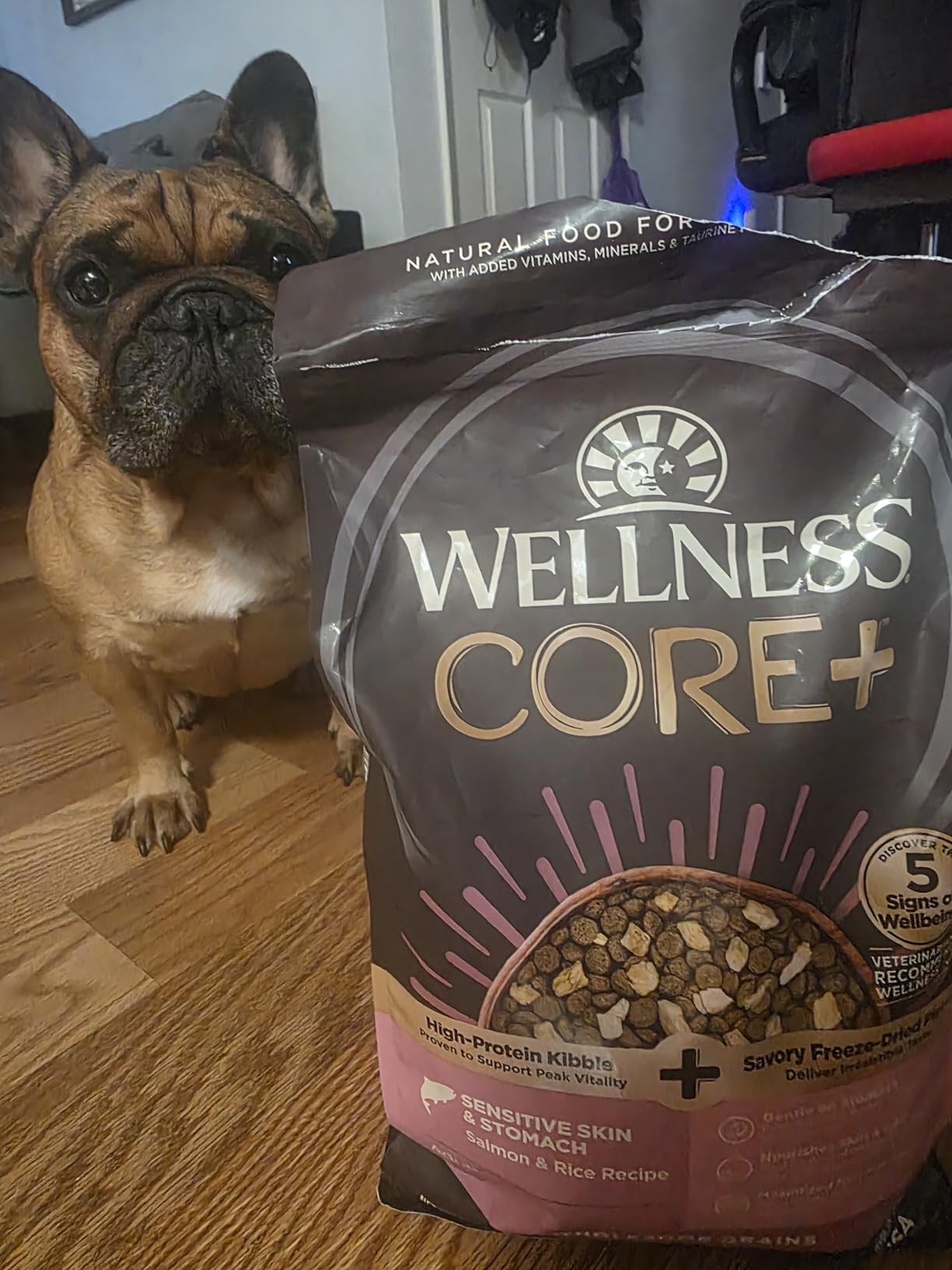 Wellness CORE+ Sensitive Skin and Stomach, Salmon and Rice Recipe customer photo 1