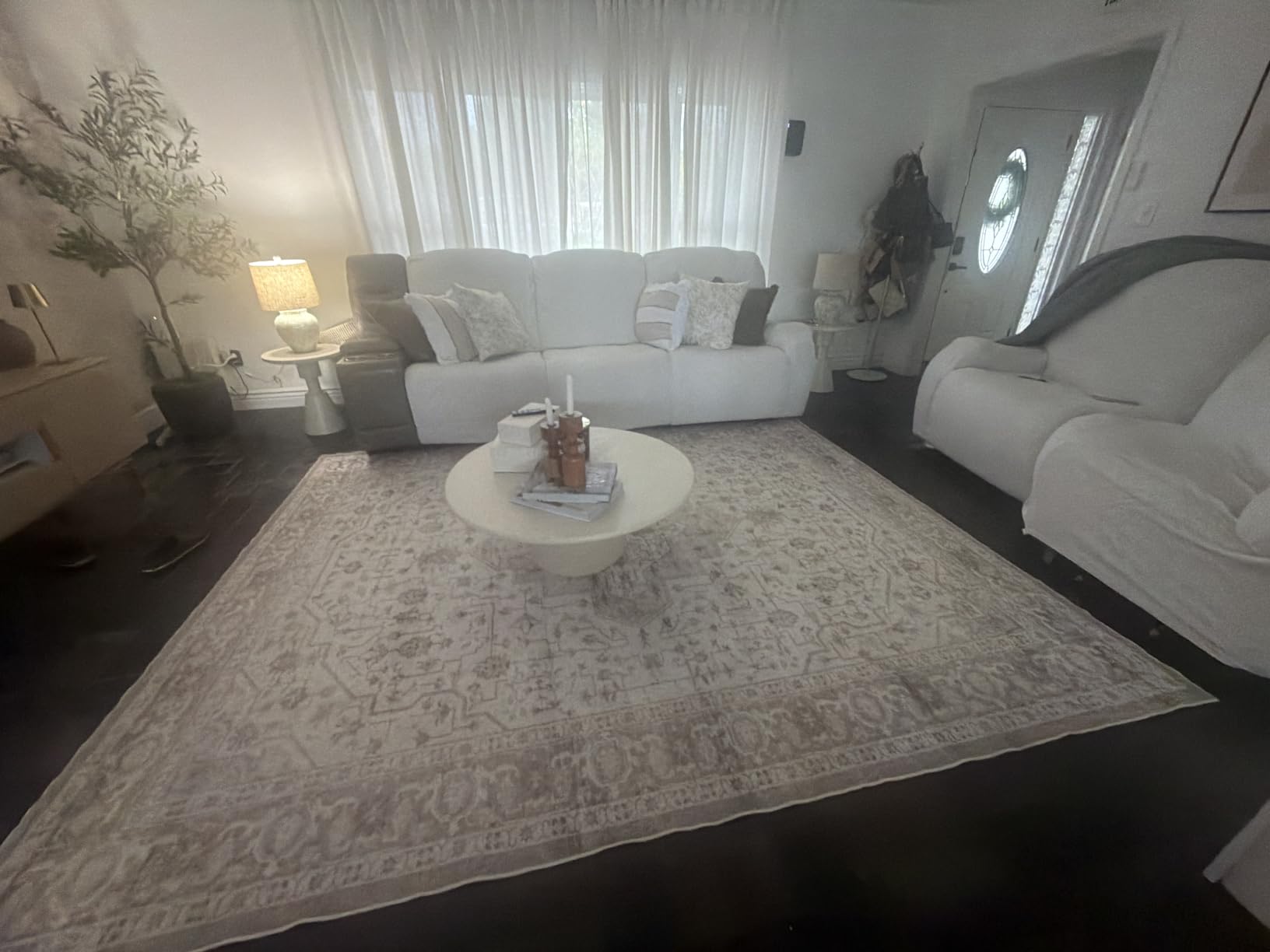 Rugxara Area Rugs 5x7, Washable Rugs for Living Room, Vintage Boho Light Blue Rug for Office, Dining Room, Kids Room and Farmhouse, Durable Low Pile Non-Slip for High Traffic Areas customer photo 1