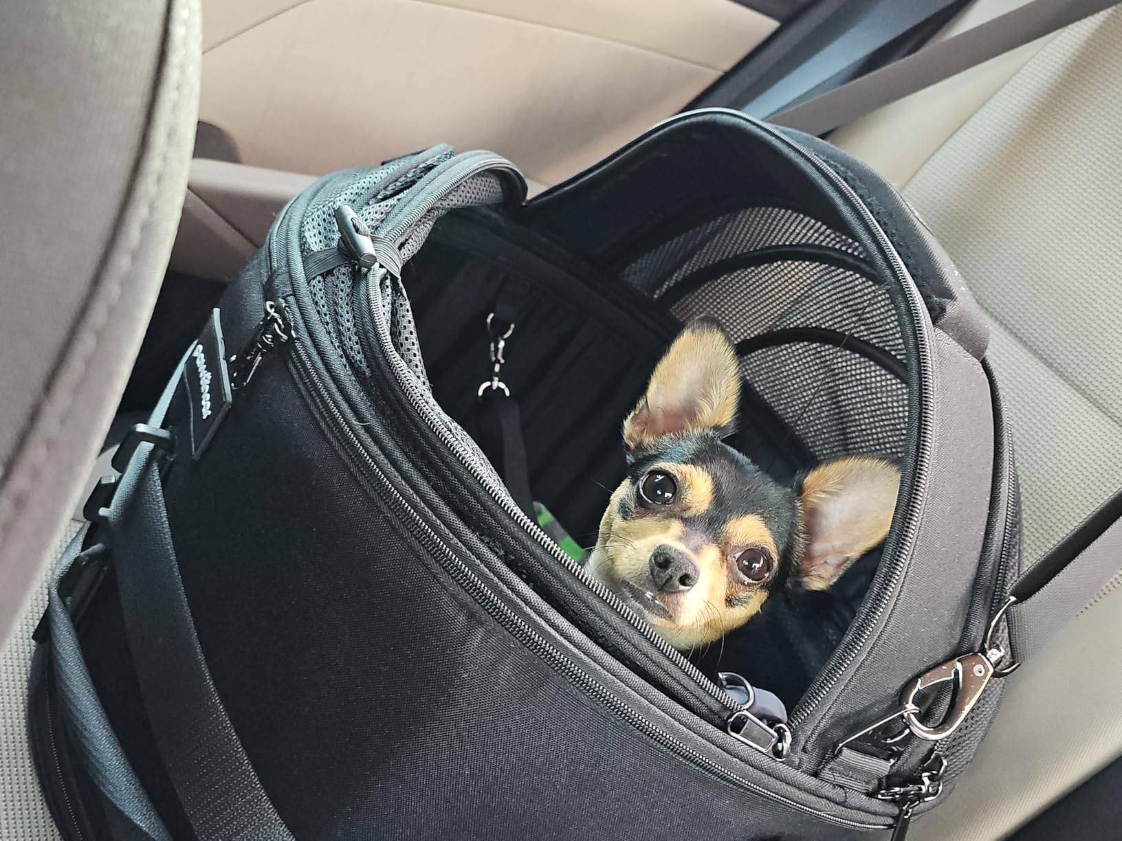 Crash-Tested Small Dog Car Seat, CPS Certified Crash Protection, 3-in-1 Portable Dog Car Seat, Indoor Enclosed Cat Bed & Round Pet Carrier, 5 Star Crash-Tested & Rated for Safe Car Travel customer photo 2