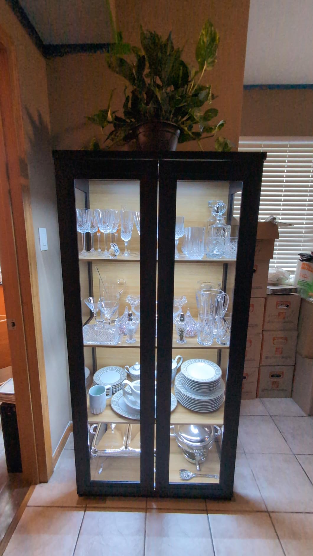 BROTTAR Curio Cabinet with Glass Doors, Bookcase with 4 Shelves, Display Cabinets for Collectibles, China Cabinet with 3 Color LED Lights and Human Body Sensing, Buffer Hinge, Black customer photo 1